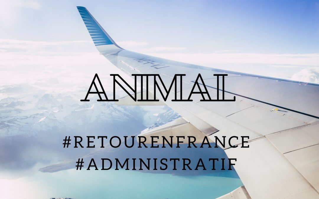 Revenir en France avec un animal